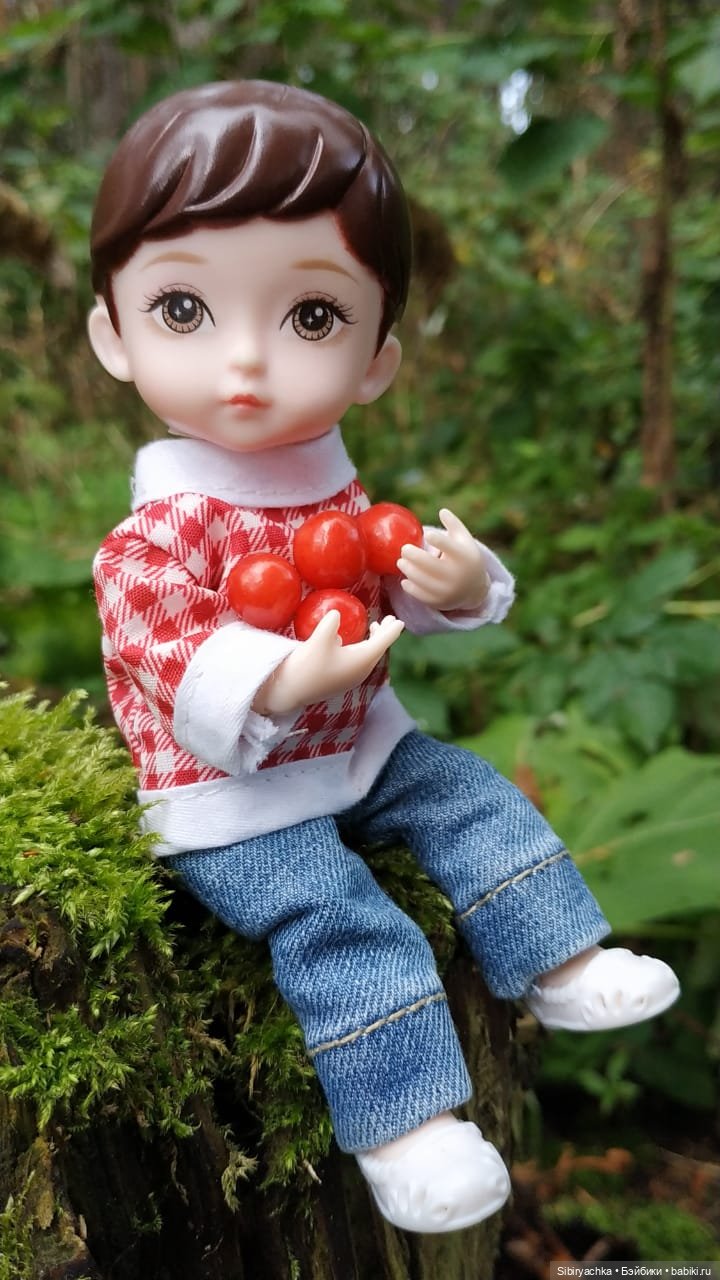 Коленька в осеннем лесу — Игровые куклы разных производителей (Разное): редкие бренды