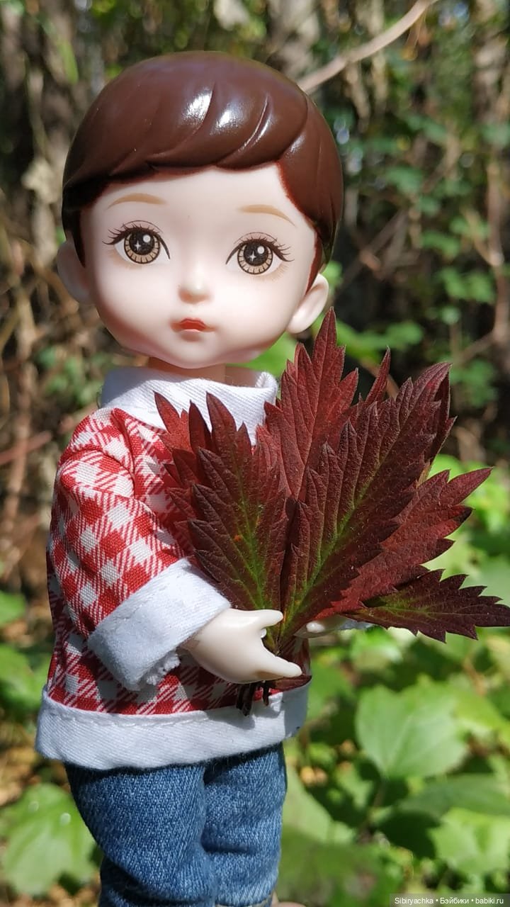 Коленька в осеннем лесу — Игровые куклы разных производителей (Разное): редкие бренды