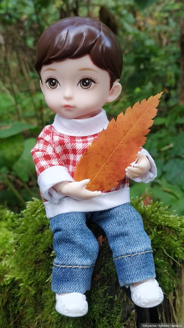 Коленька в осеннем лесу — Игровые куклы разных производителей (Разное): редкие бренды (фото 10)