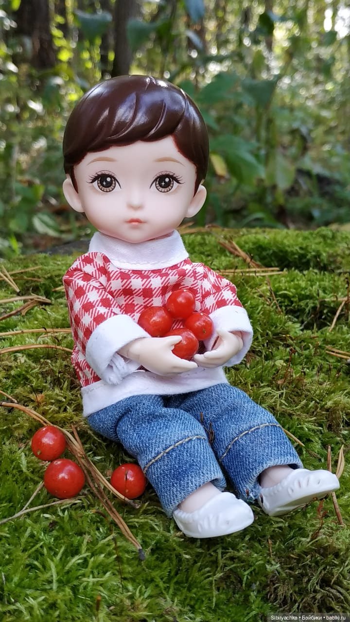 Коленька в осеннем лесу — Игровые куклы разных производителей (Разное): редкие бренды