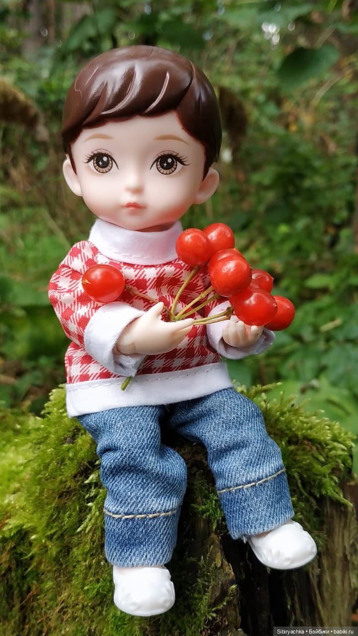 Коленька в осеннем лесу — Игровые куклы разных производителей (Разное): редкие бренды