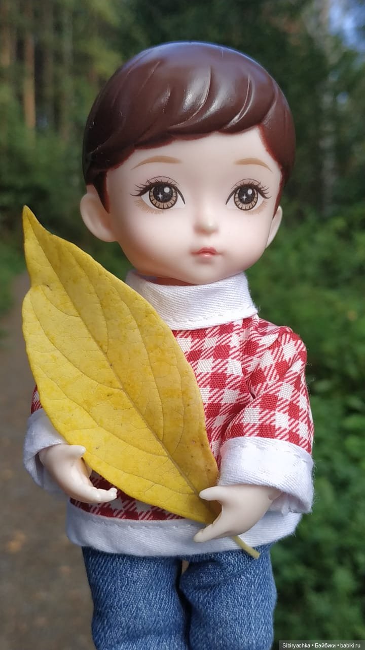 Коленька в осеннем лесу — Игровые куклы разных производителей (Разное): редкие бренды (фото 5)