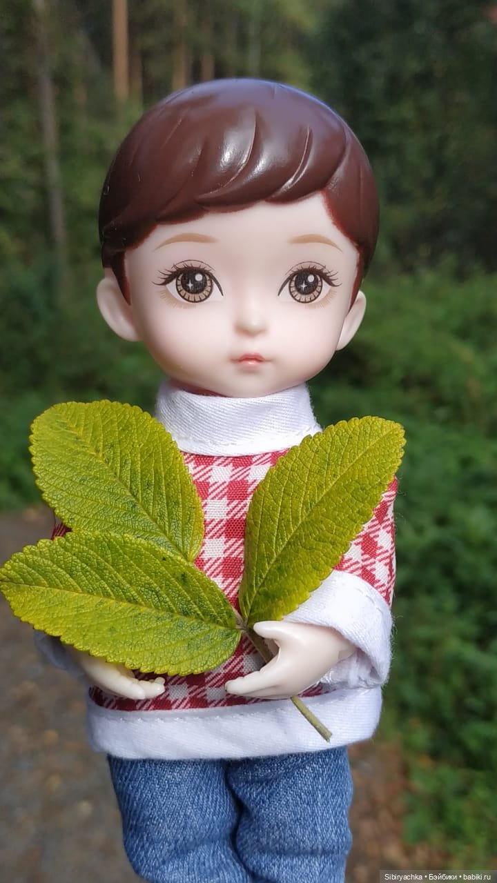 Коленька в осеннем лесу — Игровые куклы разных производителей (Разное): редкие бренды (фото 3)