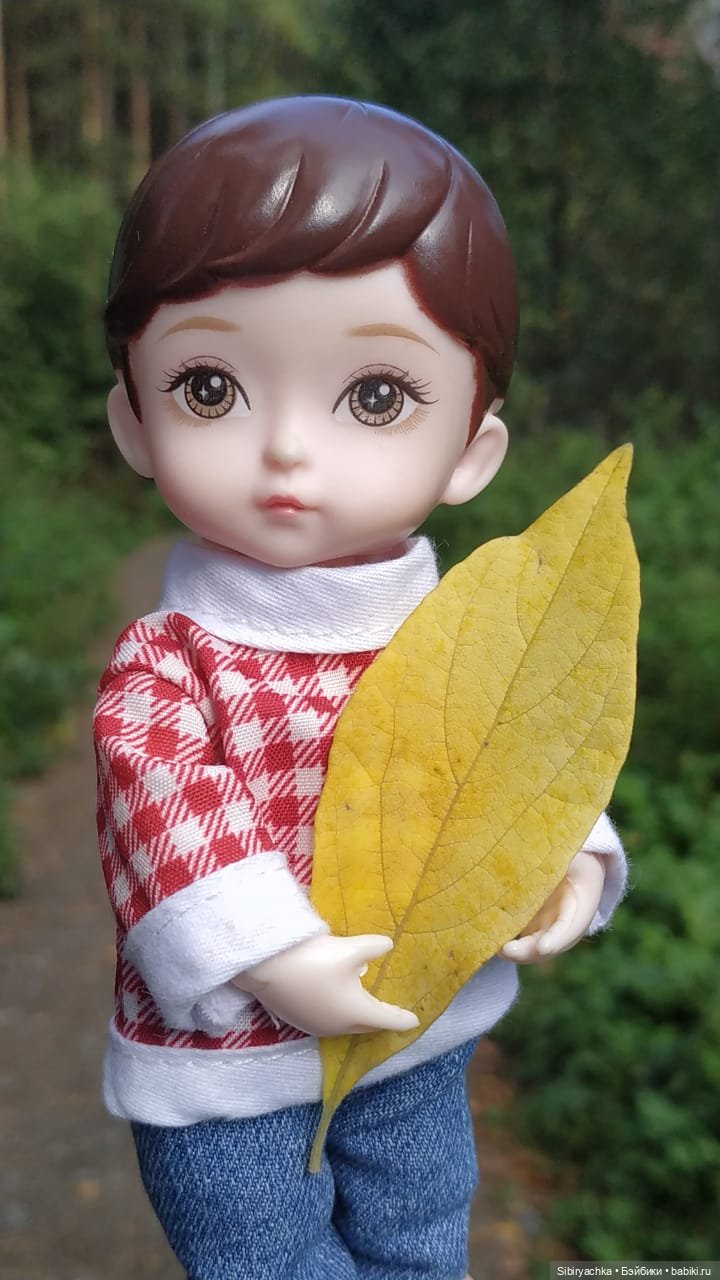 Коленька в осеннем лесу — Игровые куклы разных производителей (Разное): редкие бренды (фото 4)