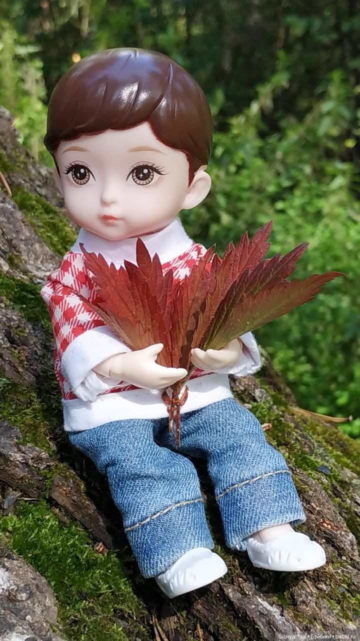Коленька в осеннем лесу — Игровые куклы разных производителей (Разное): редкие бренды
