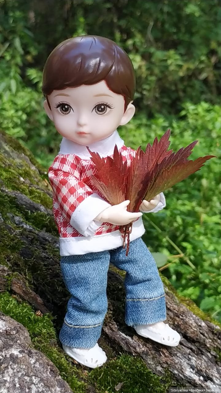 Коленька в осеннем лесу — Игровые куклы разных производителей (Разное): редкие бренды