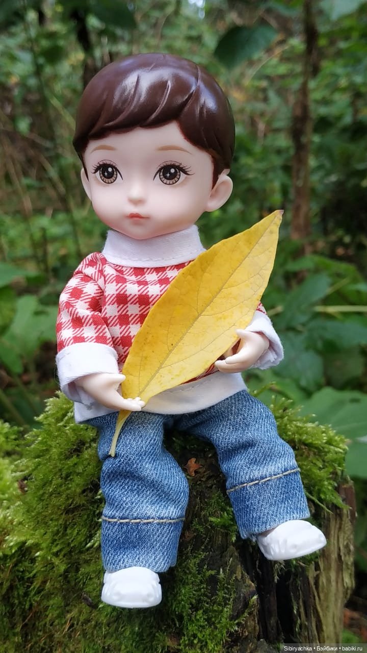 Коленька в осеннем лесу — Игровые куклы разных производителей (Разное): редкие бренды (фото 8)