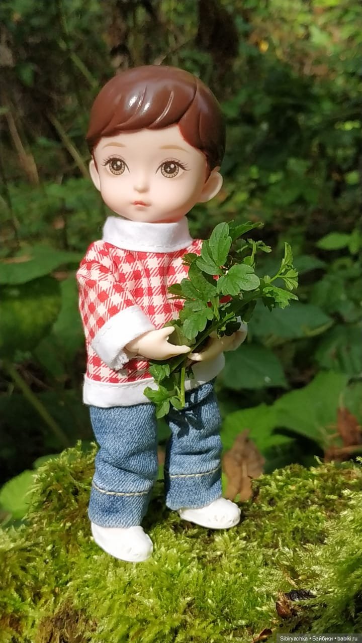 Коленька в осеннем лесу — Игровые куклы разных производителей (Разное): редкие бренды