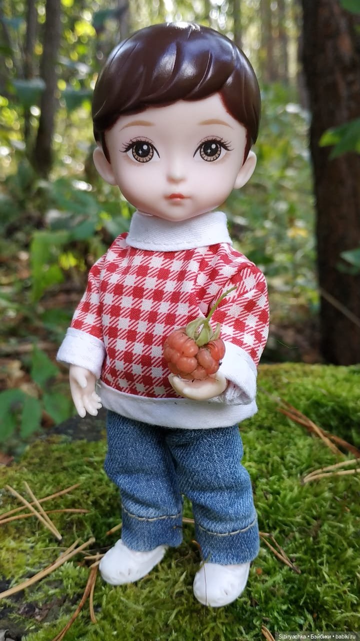 Коленька в осеннем лесу — Игровые куклы разных производителей (Разное): редкие бренды