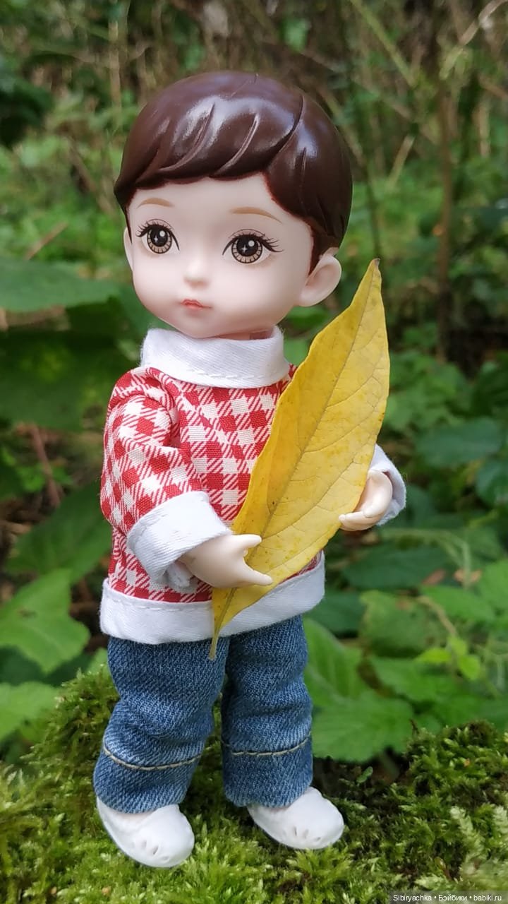 Коленька в осеннем лесу — Игровые куклы разных производителей (Разное): редкие бренды (фото 7)