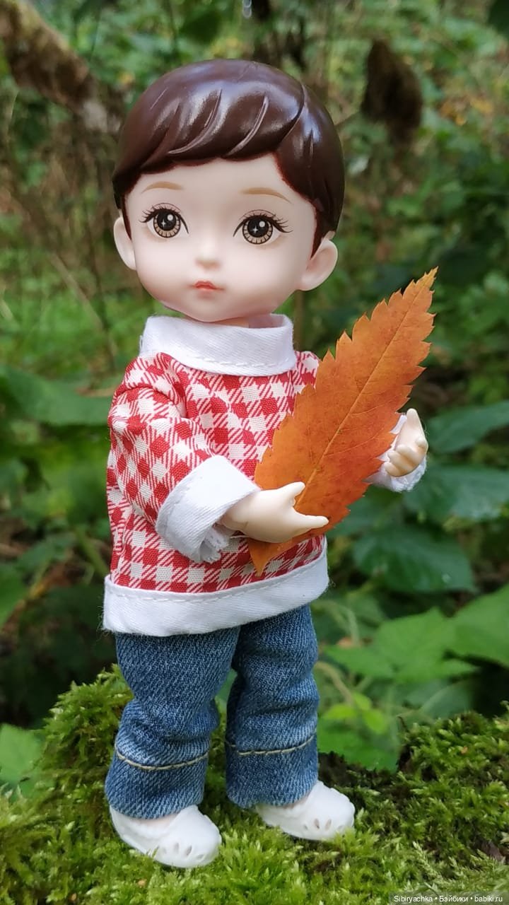 Коленька в осеннем лесу — Игровые куклы разных производителей (Разное): редкие бренды (фото 9)