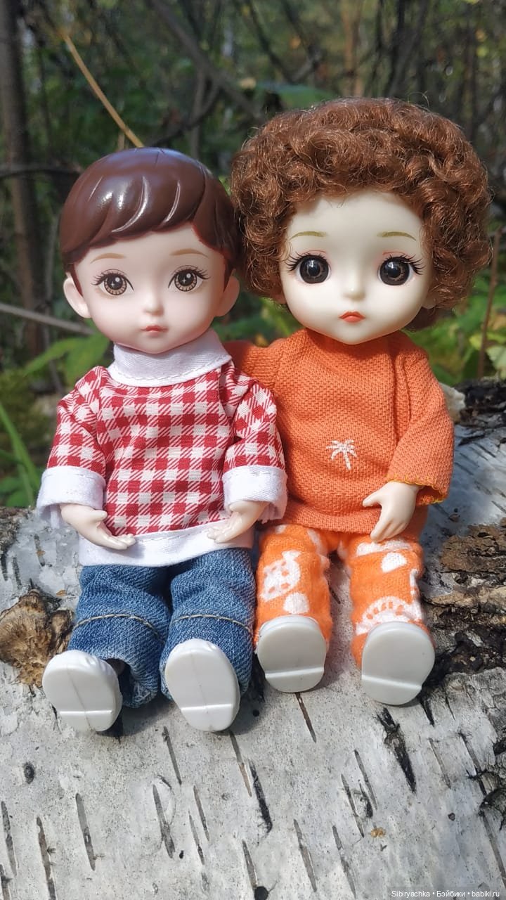 Василёк и Коленька в любимом лесу (фото 4)