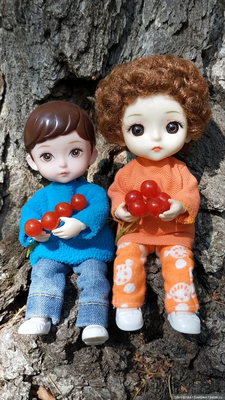 Василёк и Коленька в любимом лесу