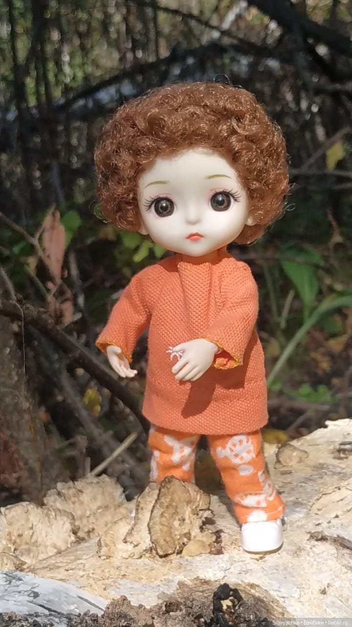 Василёк и Коленька в любимом лесу (фото 5)