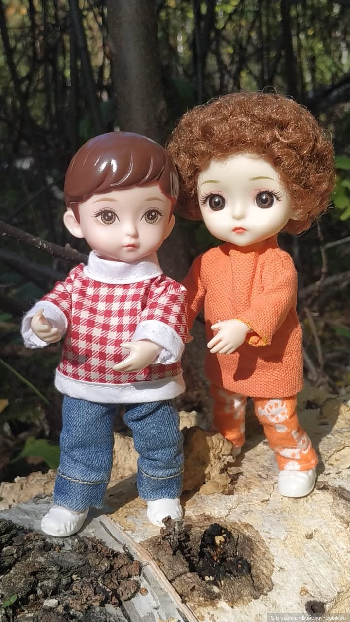 Василёк и Коленька в любимом лесу (фото 8)