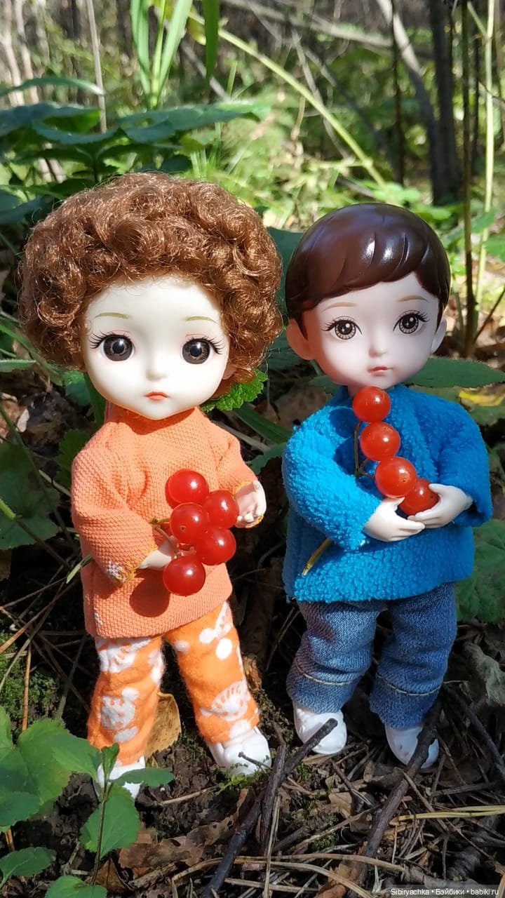 Василёк и Коленька в любимом лесу