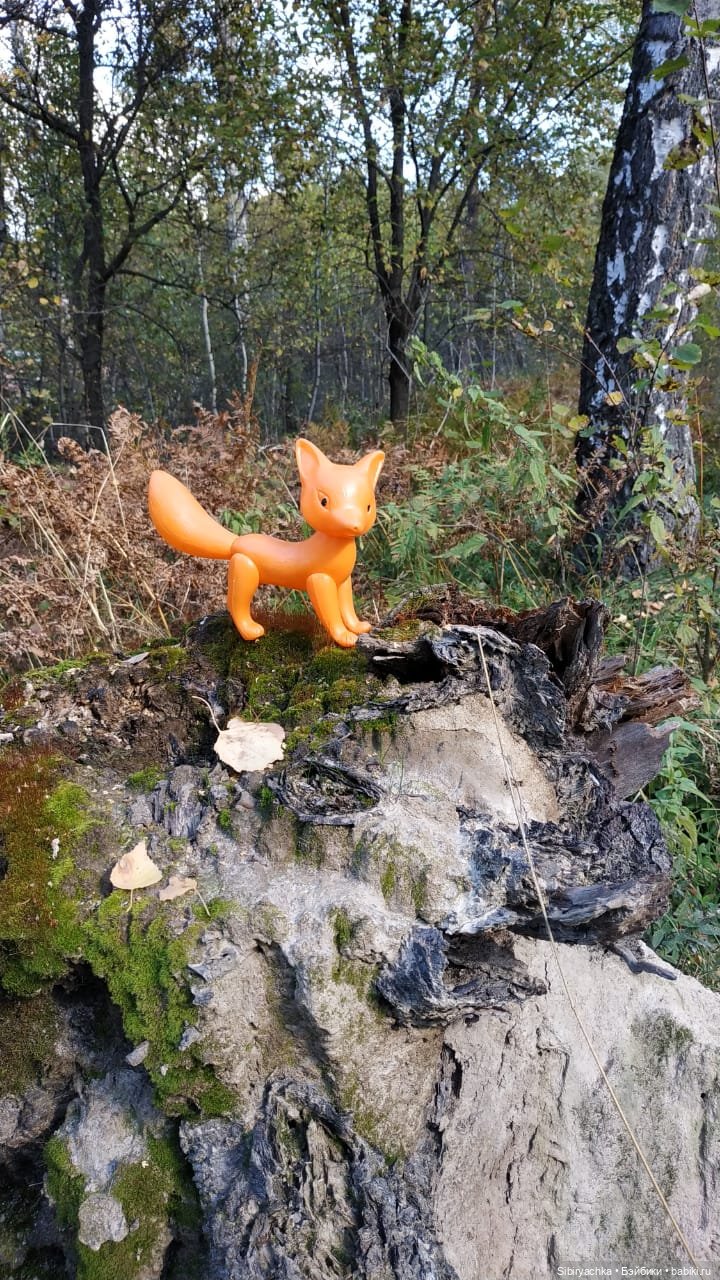 Девочка Юля и лисёнок Рыжик в любимом лесу