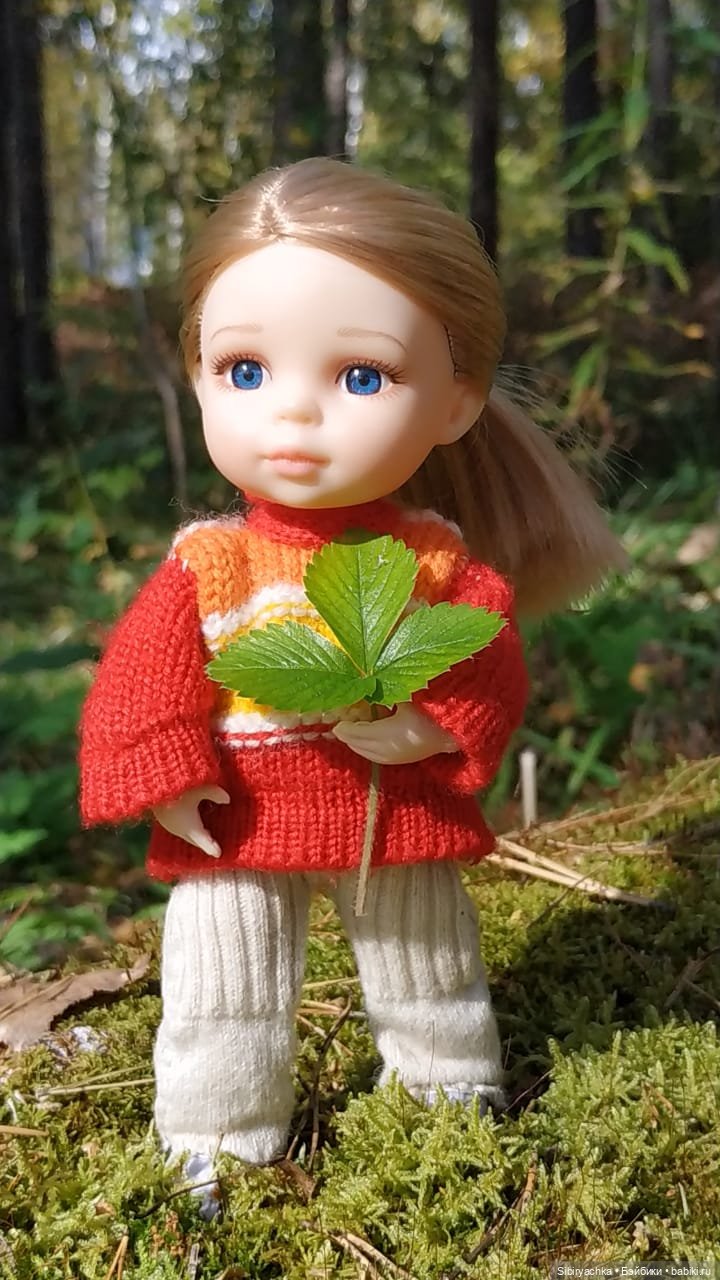 Полина в любимом лесу — Игровые куклы разных производителей (Разное): редкие бренды