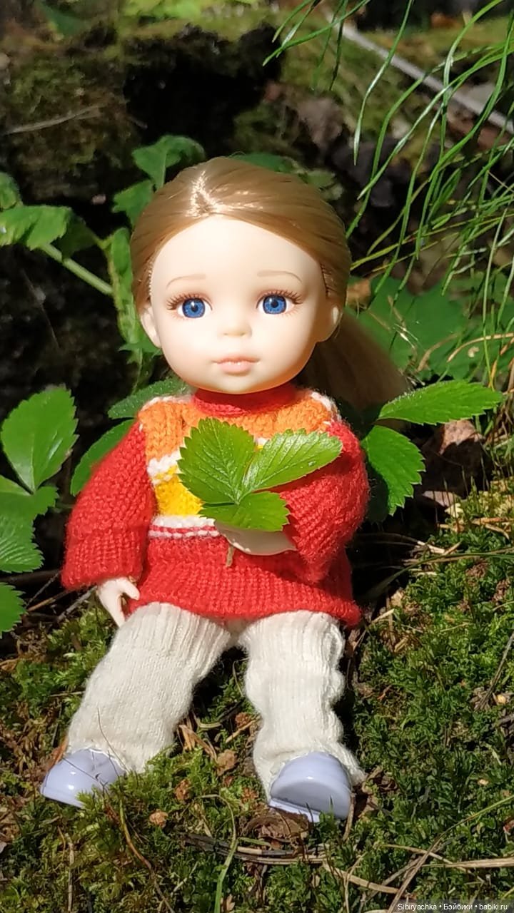 Полина в любимом лесу — Игровые куклы разных производителей (Разное): редкие бренды