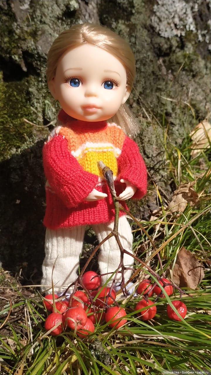 Полина в любимом лесу — Игровые куклы разных производителей (Разное): редкие бренды