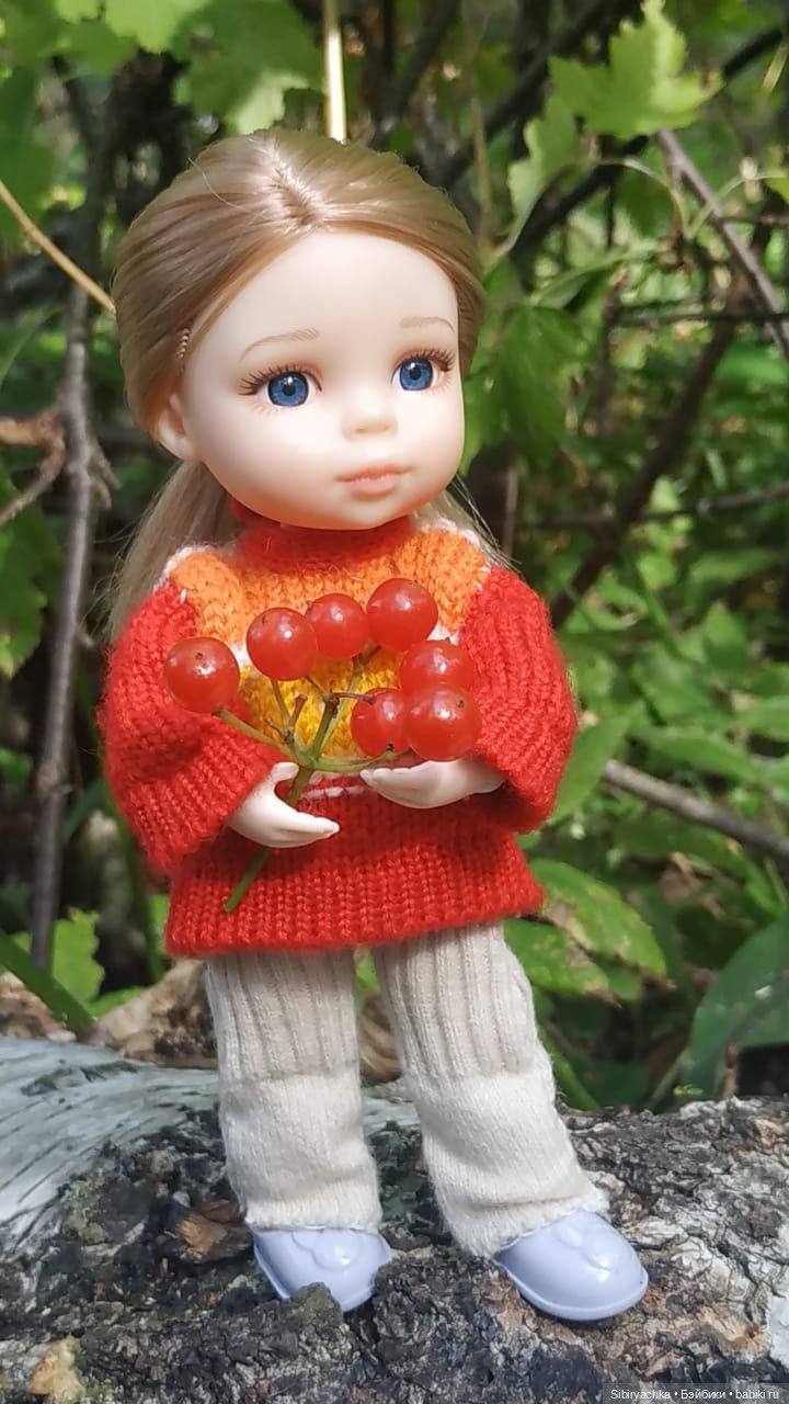 Полина в любимом лесу — Игровые куклы разных производителей (Разное): редкие бренды (фото 6)