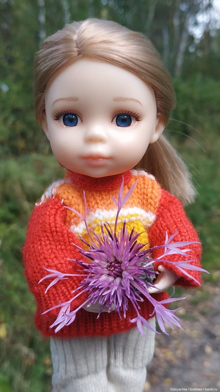Полина в любимом лесу — Игровые куклы разных производителей (Разное): редкие бренды (фото 9)