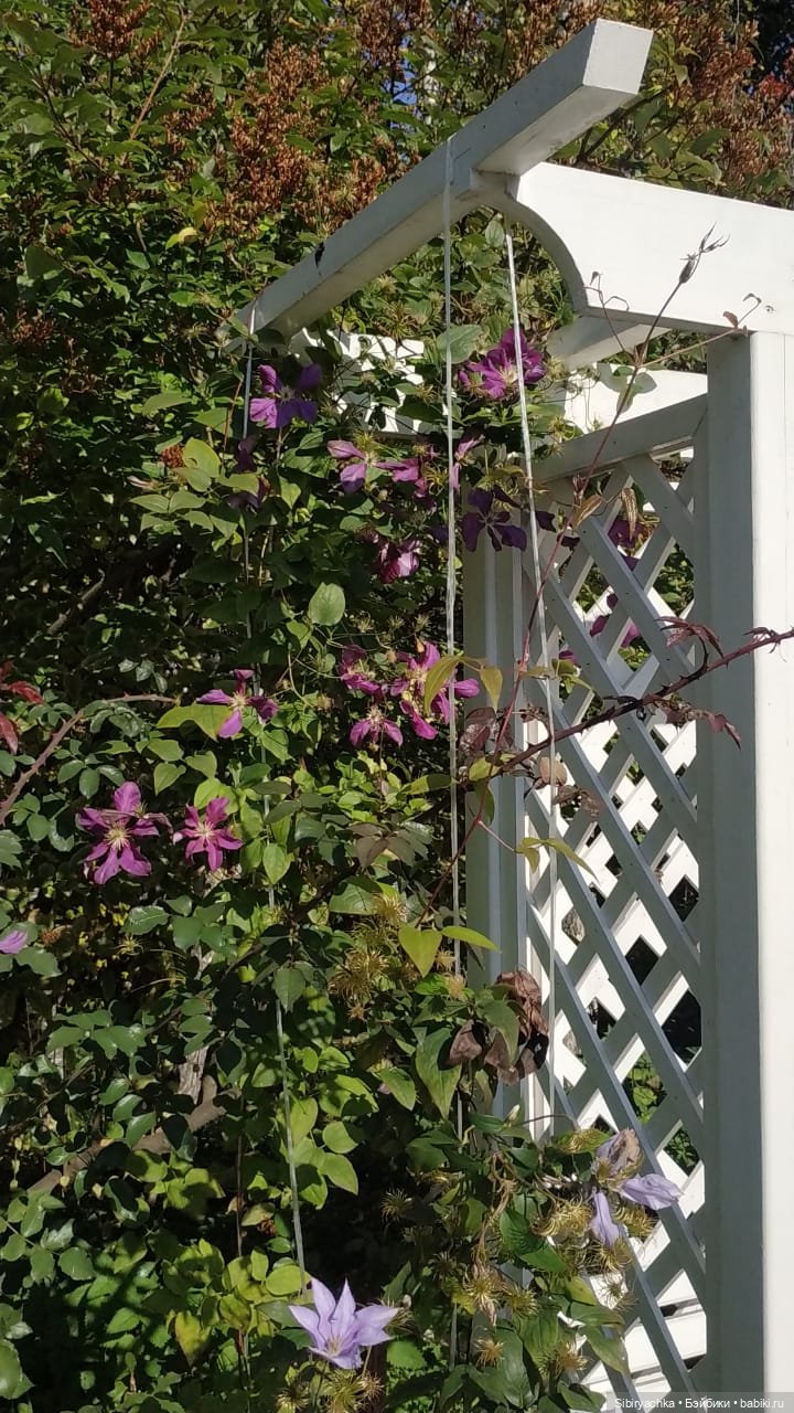 Летняя прогулка Юли в сентябре