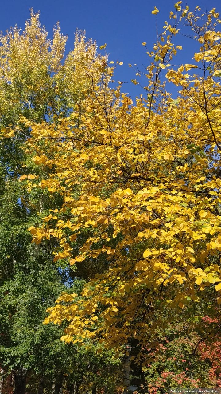 Летняя прогулка Юли в сентябре (фото 10)