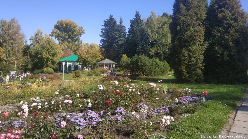 Летняя прогулка Юли в сентябре