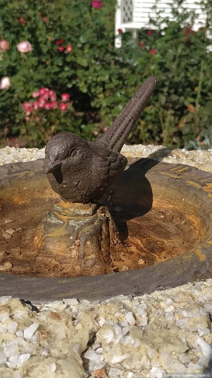 Летняя прогулка Юли в сентябре