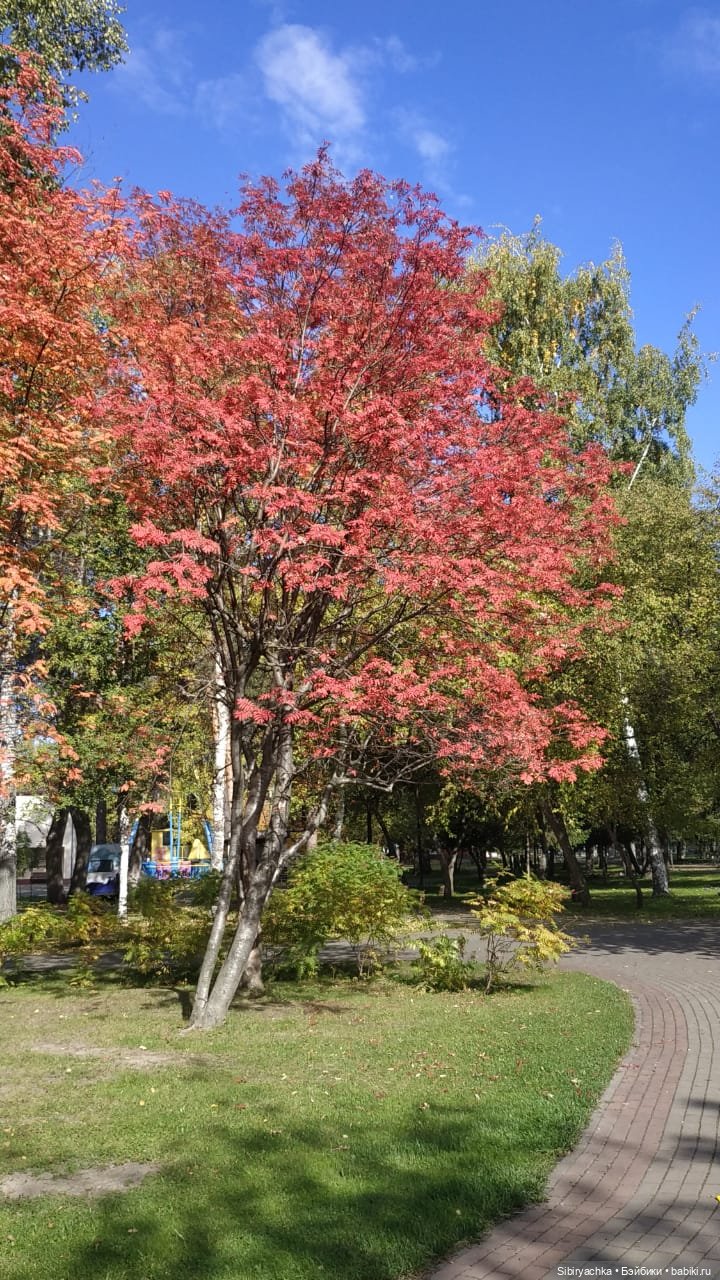 Летняя прогулка Юли в сентябре (фото 5)