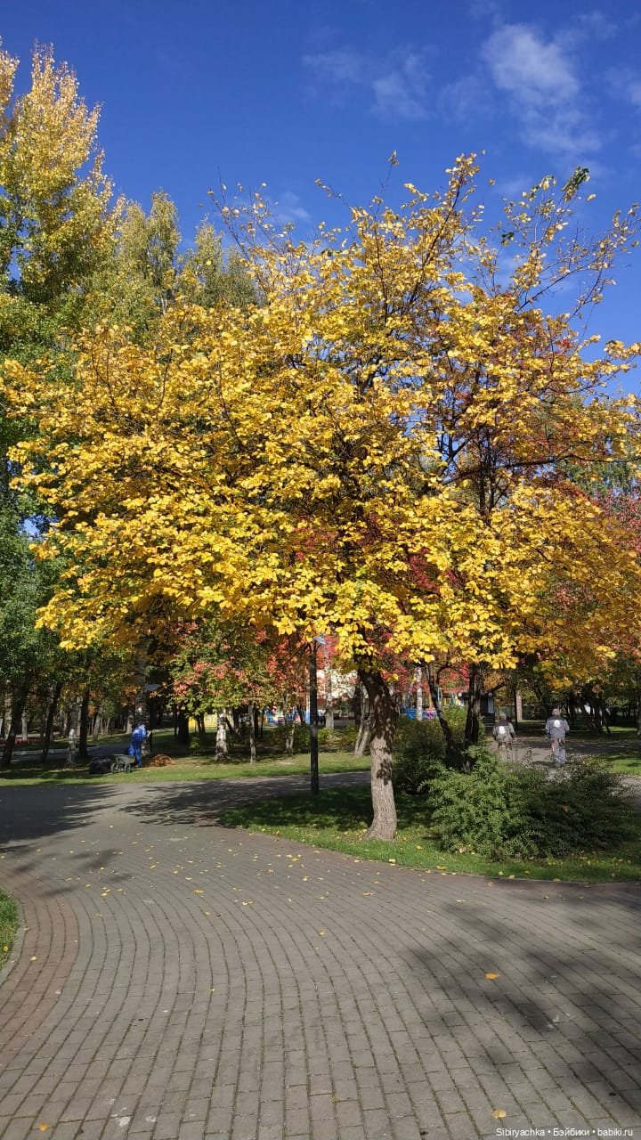 Летняя прогулка Юли в сентябре (фото 9)