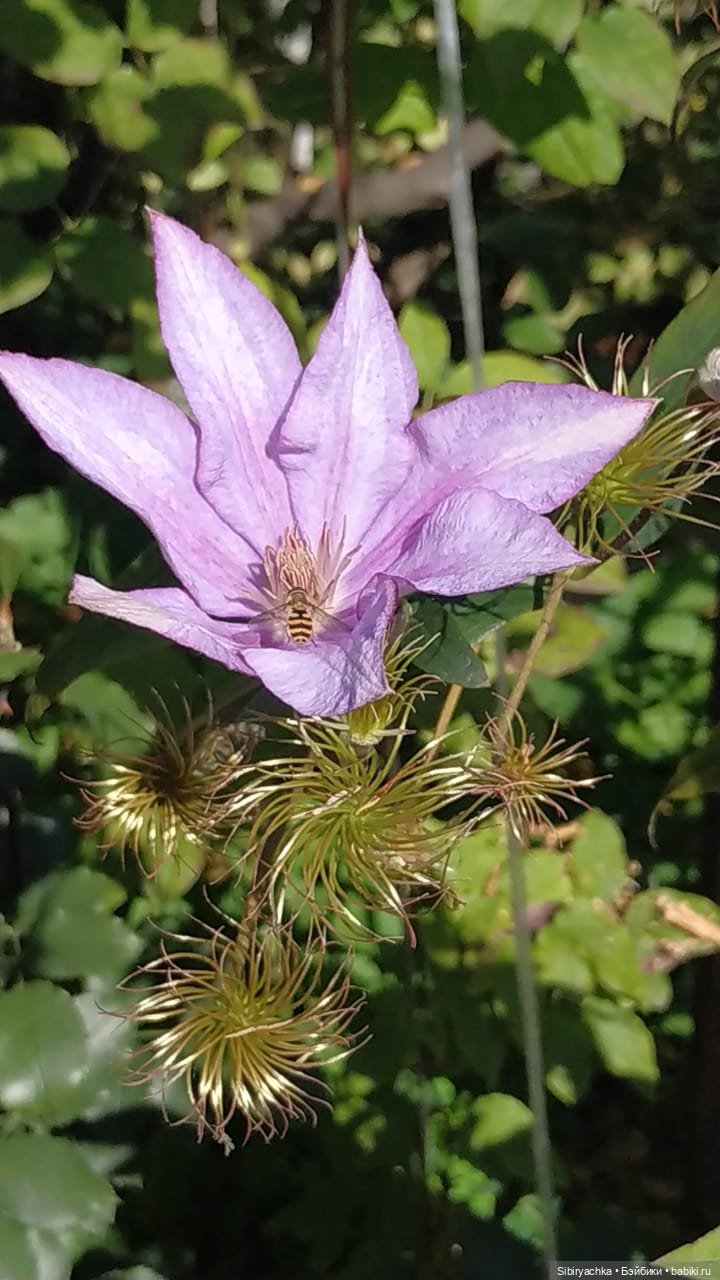 Летняя прогулка Юли в сентябре