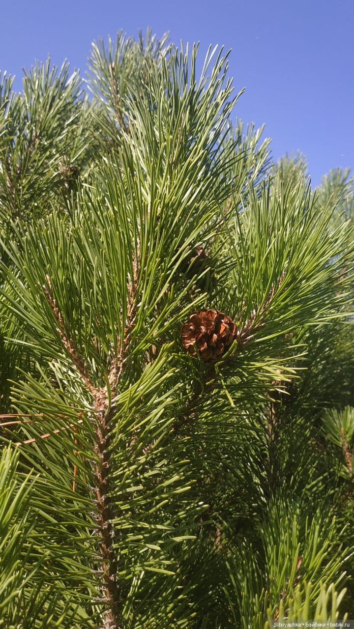Летняя прогулка Юли в сентябре