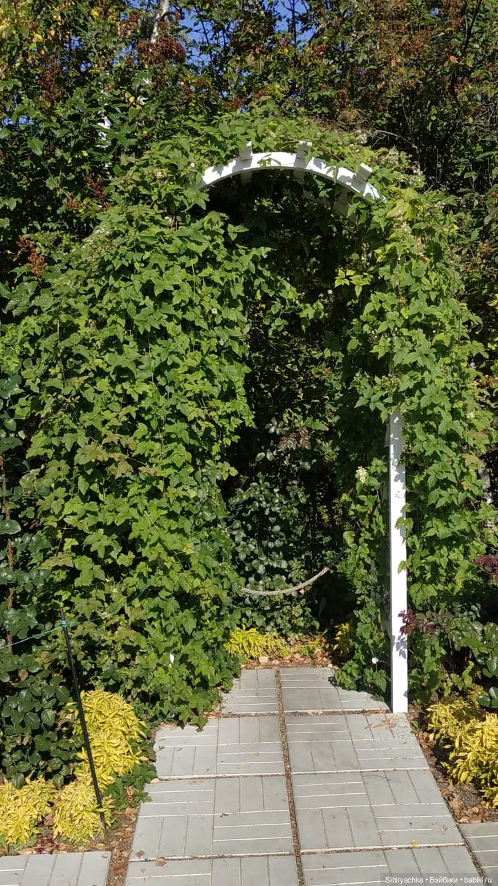 Летняя прогулка Юли в сентябре