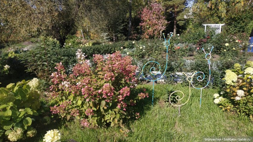 Летняя прогулка Юли в сентябре