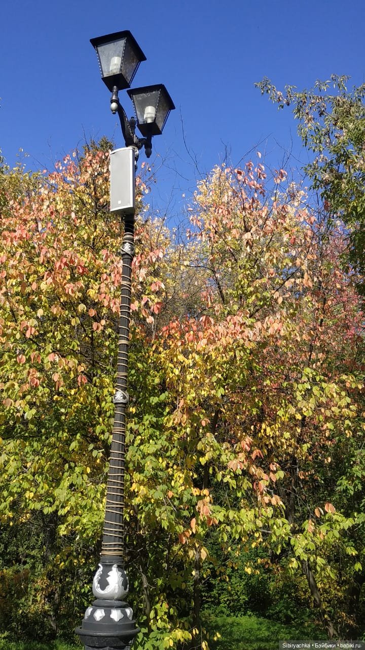 Летняя прогулка Юли в сентябре