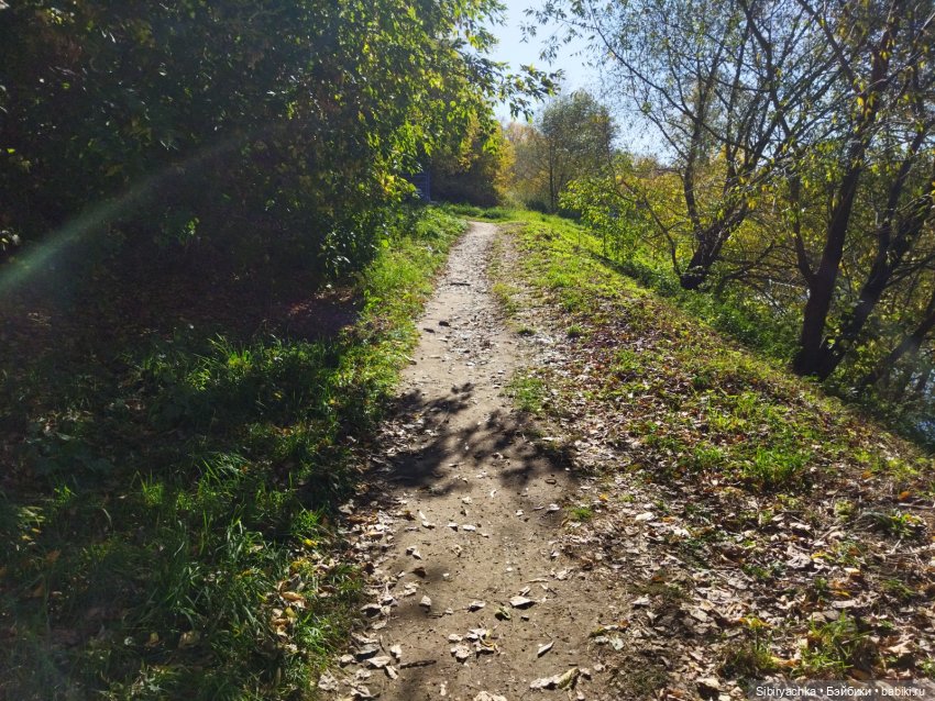 Познавательная прогулка Юленьки (фото 3)