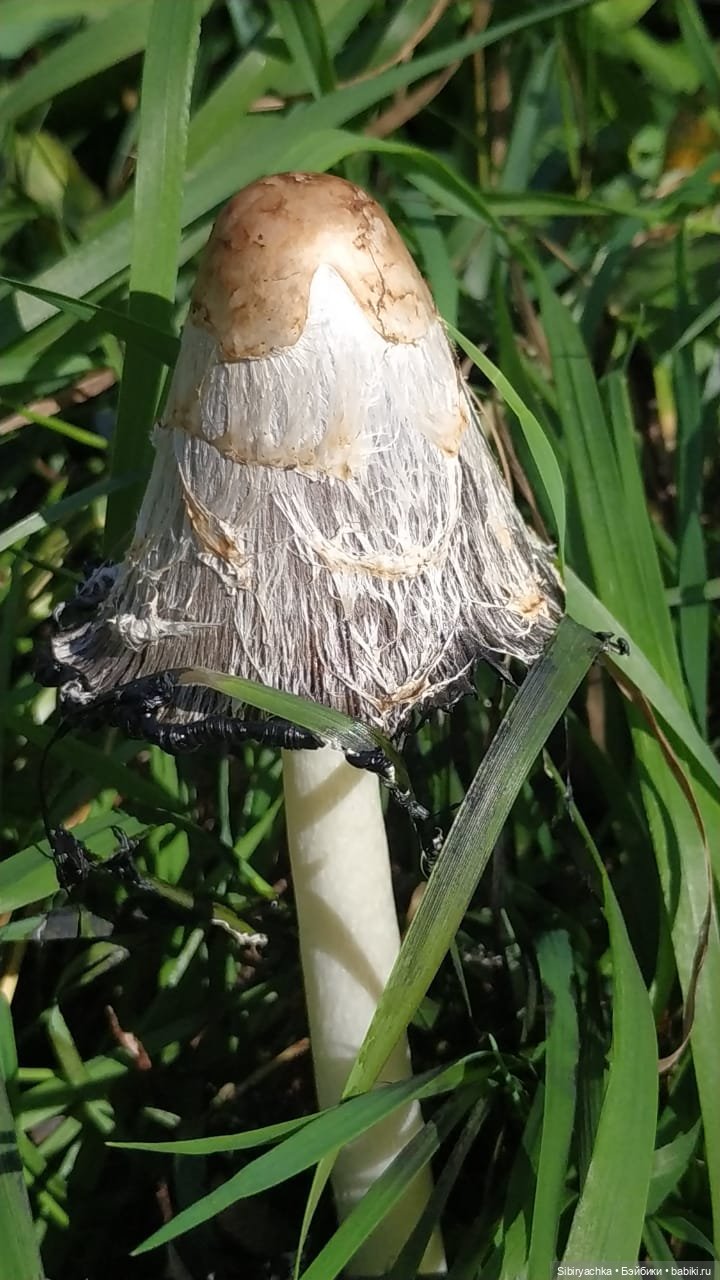 Познавательная прогулка Юленьки