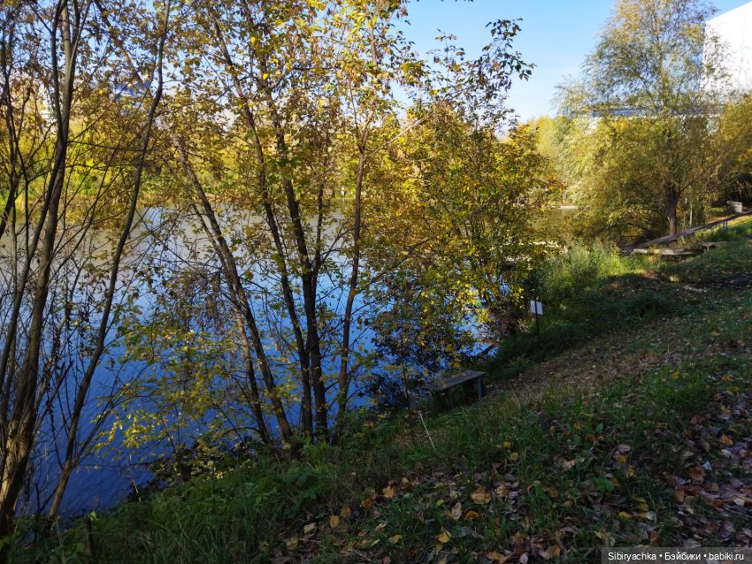 Познавательная прогулка Юленьки (фото 8)