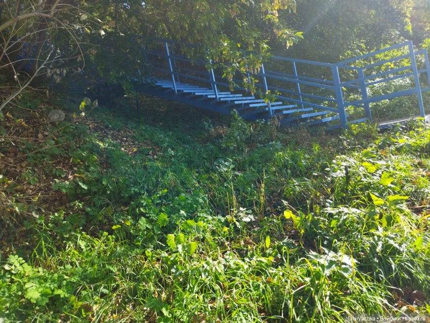 Познавательная прогулка Юленьки (фото 2)