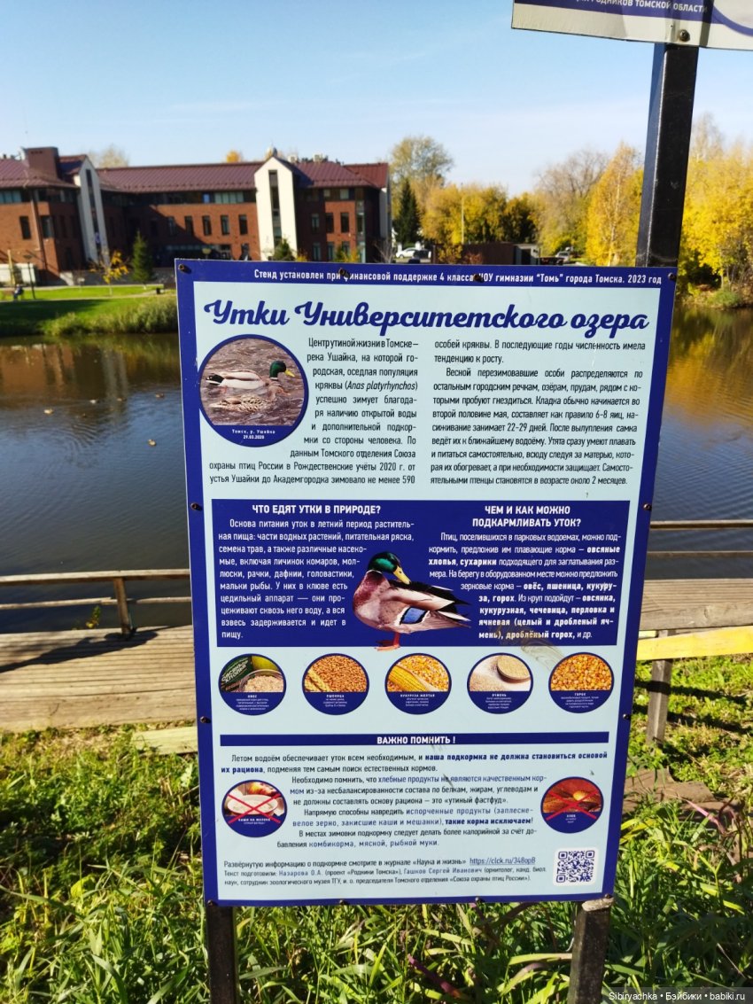 Познавательная прогулка Юленьки