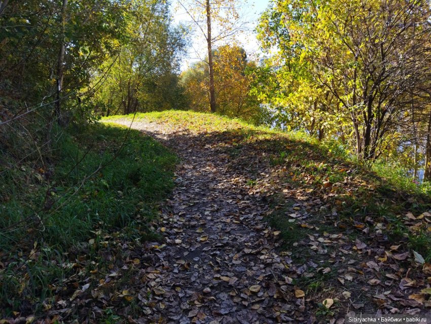 Познавательная прогулка Юленьки (фото 5)