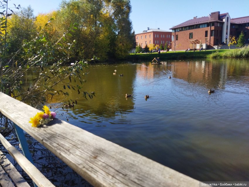 Познавательная прогулка Юленьки