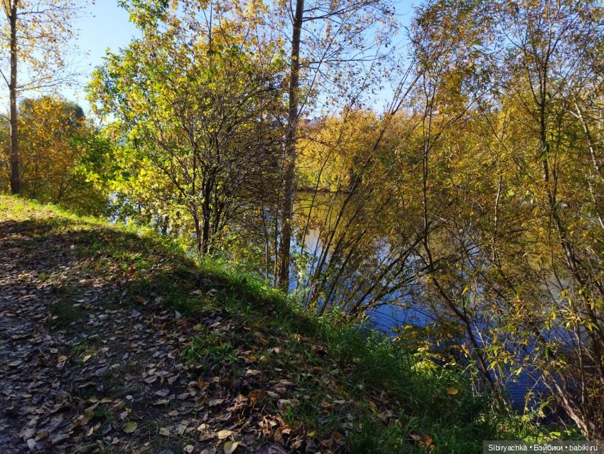 Познавательная прогулка Юленьки (фото 6)