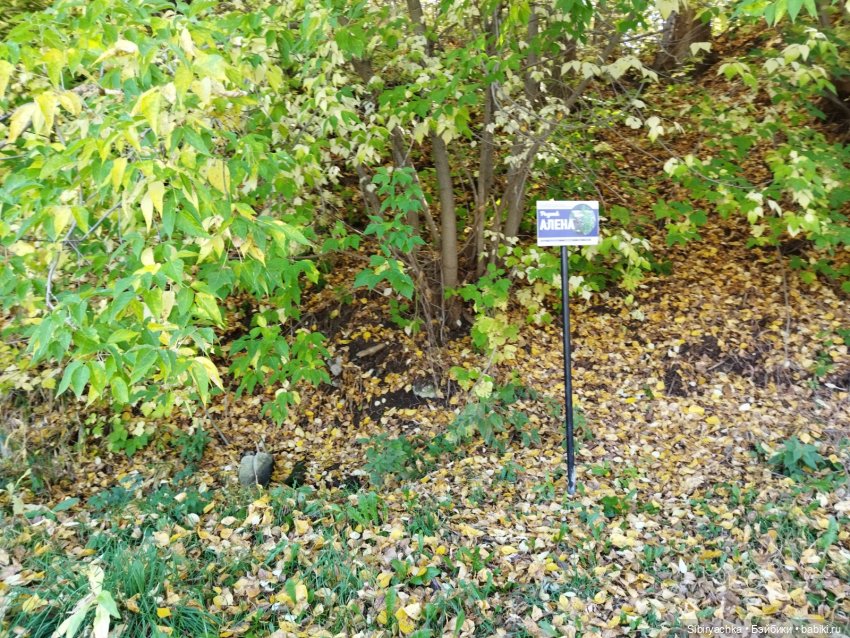 Познавательная прогулка Юленьки (фото 10)