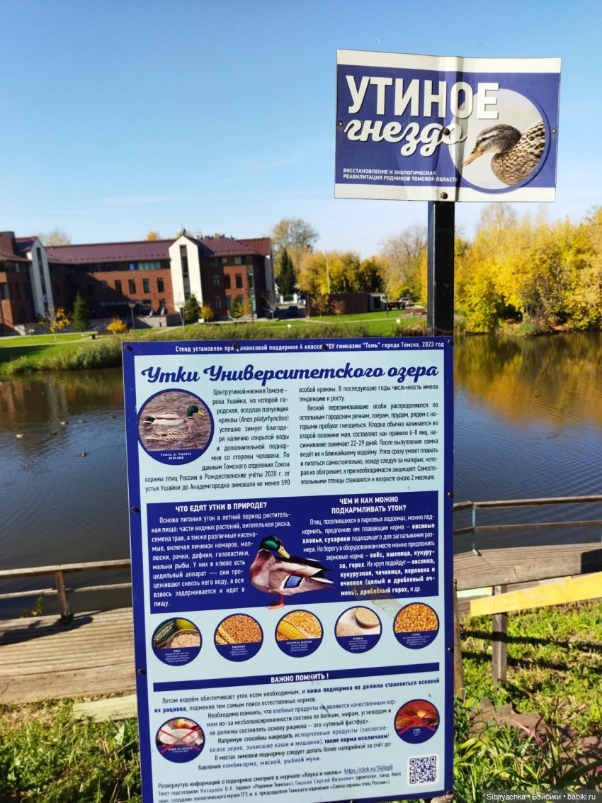 Познавательная прогулка Юленьки