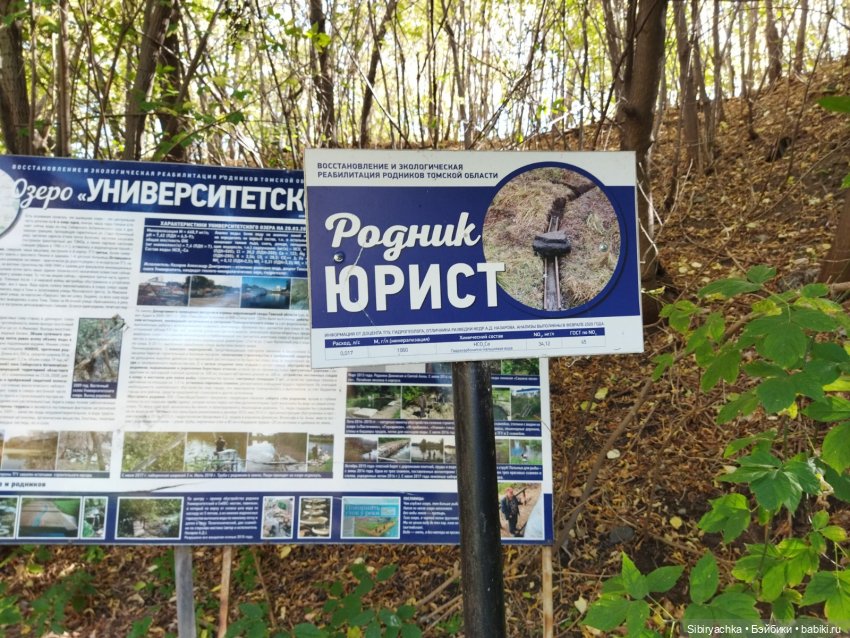 Познавательная прогулка Юленьки