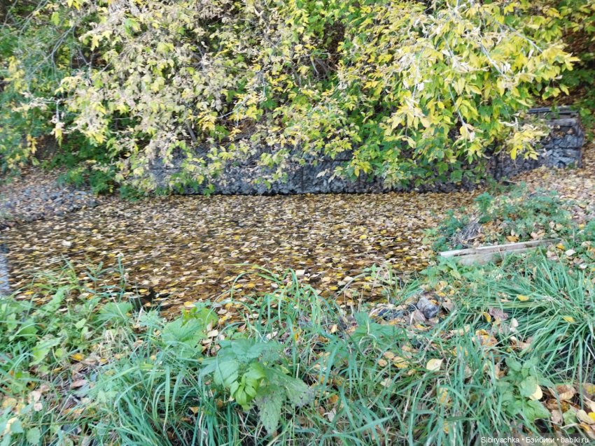 Познавательная прогулка Юленьки