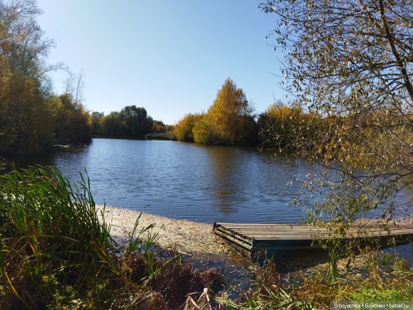 Познавательная прогулка Юленьки